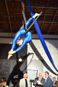 Aerial Muse Collective