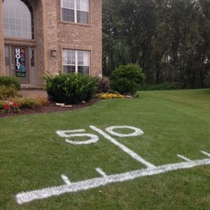 968 Styled Events & Designs