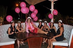 Girls Just Wanna Have Fun LLC