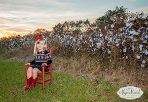 Alycia Baird Photography