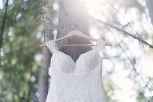 Wilson Lau Photography