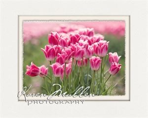 Karen Mullen Photography