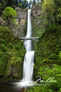 Karen Mullen Photography