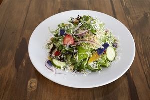 Mochica Peruvian Kitchen & Bar