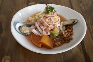 Mochica Peruvian Kitchen & Bar