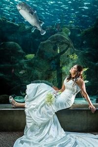 Celebrations Of Tampa Bay