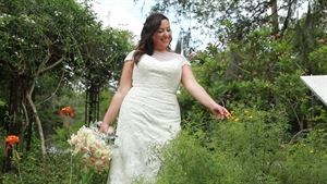 Celebrations Of Tampa Bay