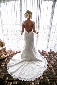 Celebrations Of Tampa Bay