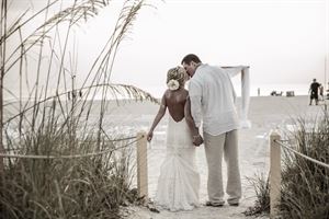 Celebrations Of Tampa Bay