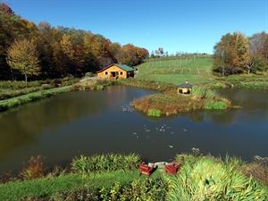 The Farm / Natural Gardens