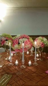 Jay Cannon Events & Design