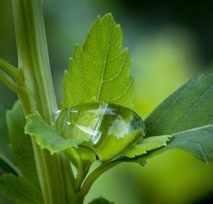 Media Magic Video Productions