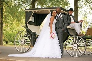 Sunflower Event Planning