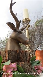 Peachy Green Events & Rentals