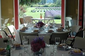 Valley View Room & Terrace