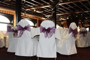Sloba's Chair Covers