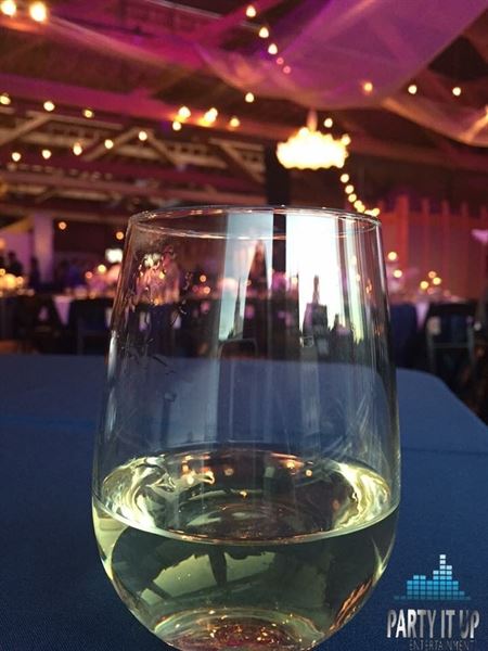 Party It Up Entertainment