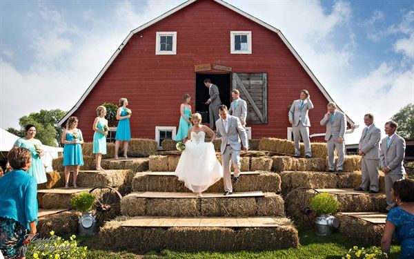 Dauphin MB Carol's Photography