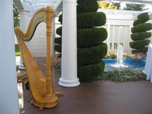 Monica Smith - Harpist