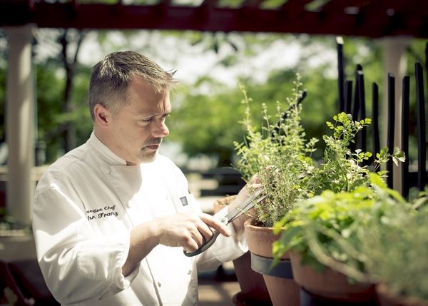 The Rattlesnake Club