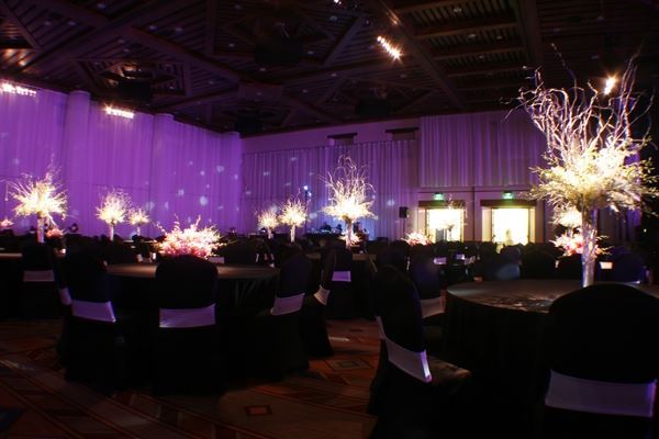 Quickbeam Audio Lighting Video