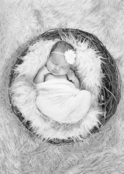 A. Lindahl Creations