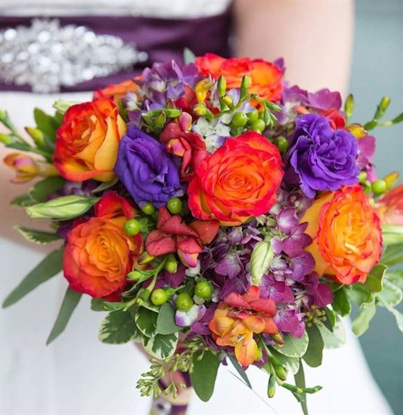 Broad Brook Gardens, LLC