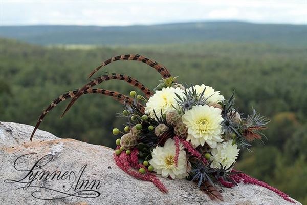 Broad Brook Gardens, LLC