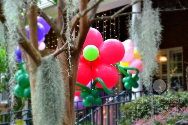 Charleston Balloon Company