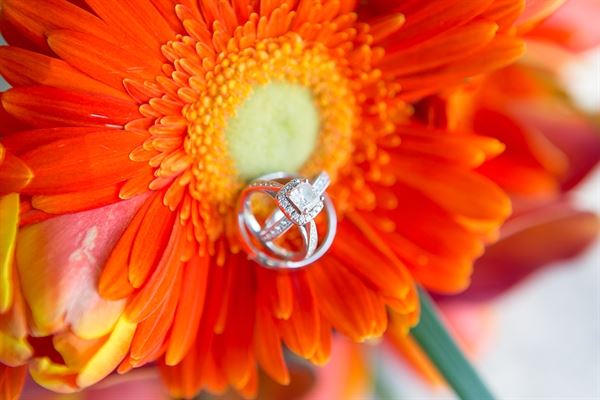 TrevGStudios Photography