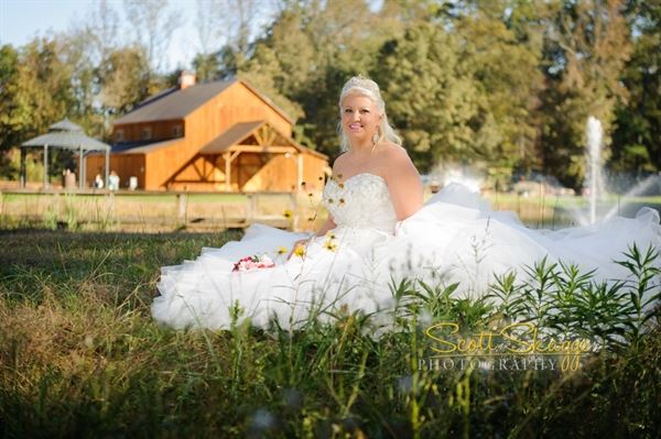 The Hidden Homestead