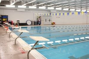 Moseley Saltwater Pool