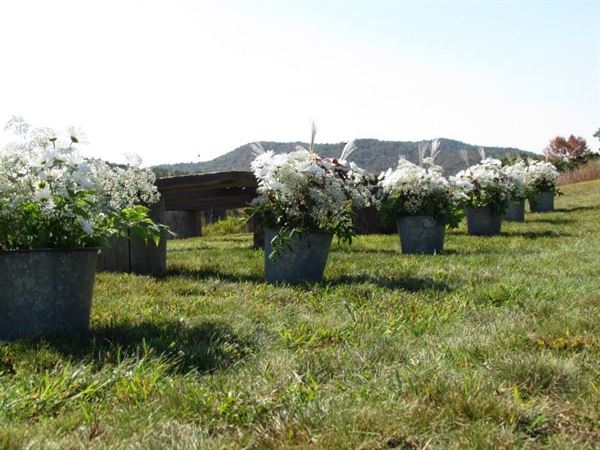 Scarlet Begonias Customized Events, LLC