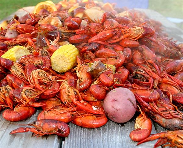 Acadia Parish Crawfish - Catering and Live Sales