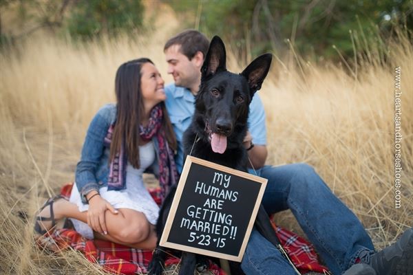 Hearts & Horseshoes Photography