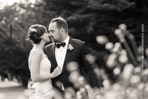 Hearts & Horseshoes Photography