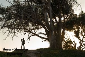 hearts & horseshoes photography - Paso Robles