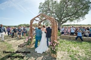 hearts & horseshoes photography - Paso Robles