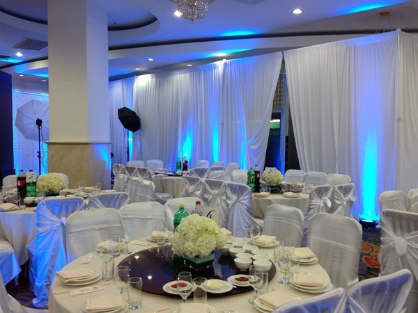 Bay Area Dinner Show