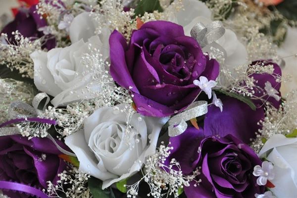 Allegan Country Inn Bed and Breakfast