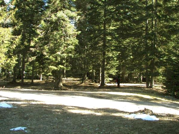 Black Rose Spiritual Retreat Center