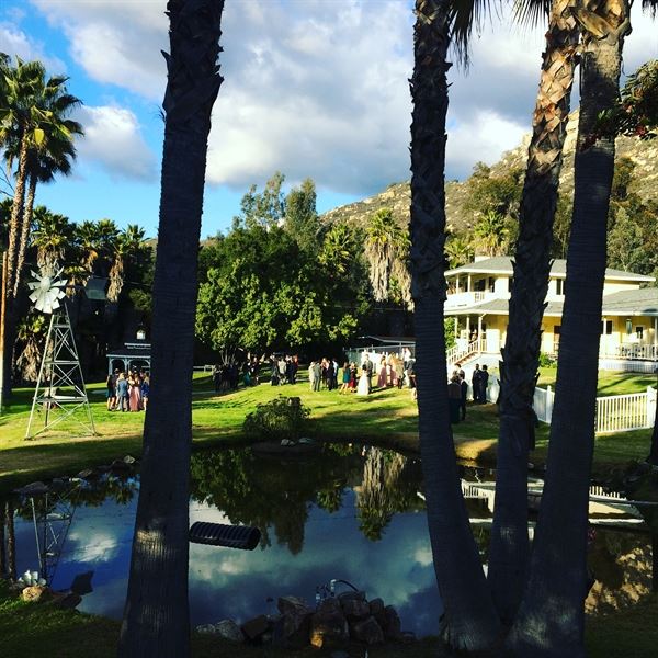 Weddings by Sheila Foster