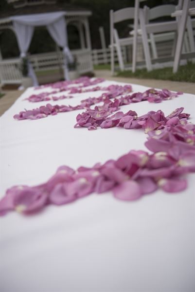 Weddings by Sheila Foster