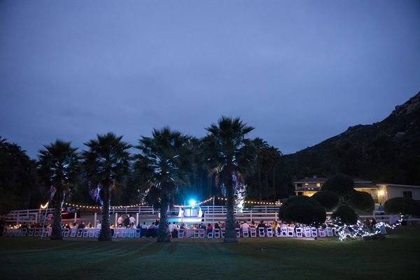 Weddings by Sheila Foster