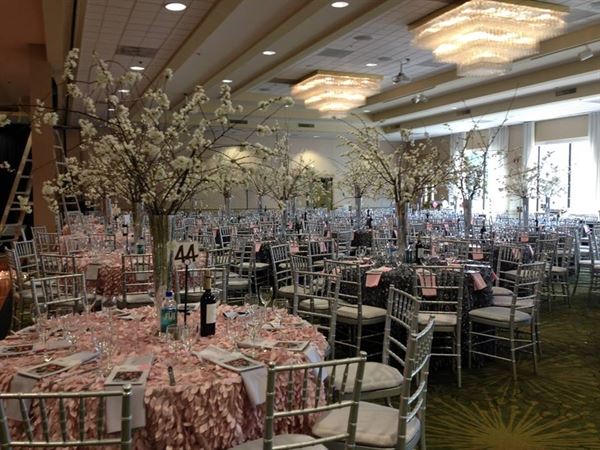 AIDA Bistro & Wine Bar