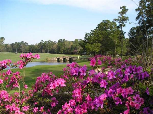 Tour 18 Golf Course