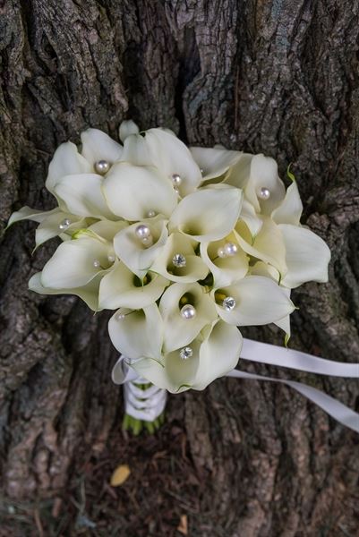 Jessica Edwards Photography