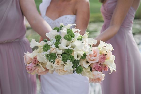 Nicole Suzanne Photography