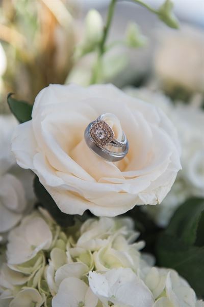 Nicole Suzanne Photography