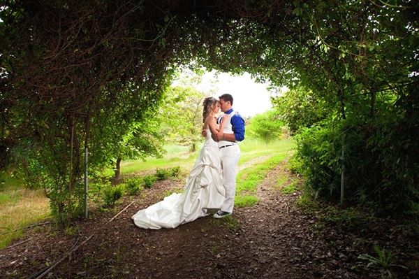 Yang's Botanical Gardens